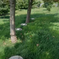 اسماعیل خدمتی
