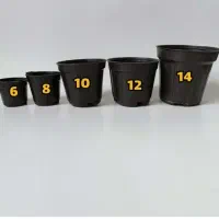 پخش انواع گلدان پلاستیکی کشاورزی و زینتی|گل و گیاه طبیعی|رشت, پل تالشان|دیوار