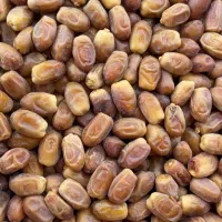 نیروی کار خانم