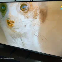 جی پلاس  43  مدل 4k  اسمارت هوشمند|تلویزیون و پروژکتور|رشت, قاسمیه|دیوار