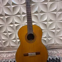 گیتار ژاپنی بابارکد