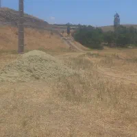 علف همه گیاه