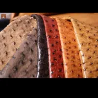 چرم طبیعی شترمرغ قیمت استثنایی|لوازم خیاطی و بافتنی|محمدشهر, شهرک پیام (مهرالبرز)|دیوار