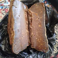 قارا بز درجه یک