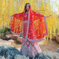 کرایه لباس مجلسی هندی لباس هندی مدل دهلی نو|لباس|شیراز, شاهچراغ|دیوار