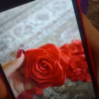 گل روبانی|صنایع دستی و سایر لوازم تزئینی|شیراز, گویم|دیوار