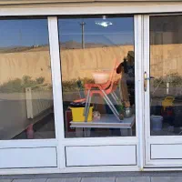 در آلمیون سفدیخجالی