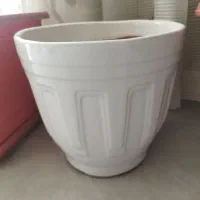 گلدان پلاستیکی وسرامیکی|گل و گیاه طبیعی|شیروان (خراسان), |دیوار