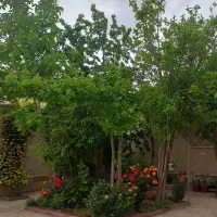 اجاره منزل ویلایی قدیمی