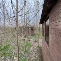 بخری-برای-آینده-بچه-ها-برد-کردی