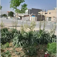 مغازه ، فروش یا معاوضه|فروش مغازه و غرفه|همدان, |دیوار