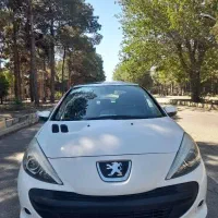 207 پانورما دنده ای  1400