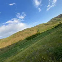 زمین ۱۲۰۰ متر قصبه الویر