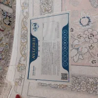 فرش نو ۱۵۰۰ شانه دوعدد ۹ متری