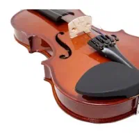 ویولن