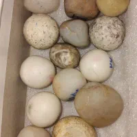 الماس آسیاب|جواهرات|همدان, |دیوار