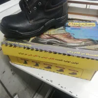 بهشتیان 43