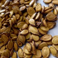 خرید بذر و گیاهان دارویی