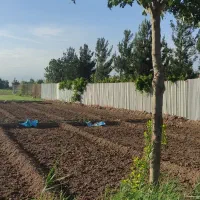 زمین مناسب باغ و باغچه