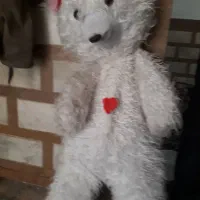 عروسک خرسی ولنتاینی