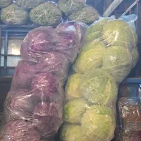 فروش عمده میوه تره بار قیمت کف بازار میدان مرکزی|خوردنی و آشامیدنی|تهران, خانی آباد نو جنوبی|دیوار
