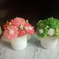 باکس گل روز مادر|گل و گیاه طبیعی|مشهد, تربیت (صدف)|دیوار