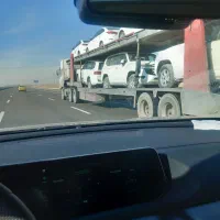 رانا پلاس مشکی ابنوس صفر خشک روز