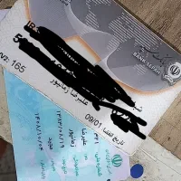 کارت ملی وکارت بانکی به نام علیرضا زمانپور پیداشده