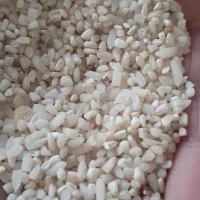 برنج سالم و نیمدانه|خوردنی و آشامیدنی|بروجرد, |دیوار