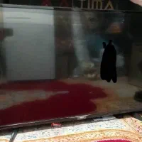 تلویزیون ال جی|تلویزیون و پروژکتور|کرمان, |دیوار