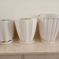 گلدان