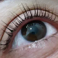 لیفت مژه لیفت ابرو|خدمات آرایشگری و زیبایی|سنندج, |دیوار