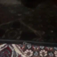 تلویزیون ال سی دی شکسته