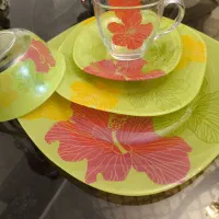 سرویس ۱۲نفره ارکوپال فرانسه اصل