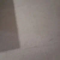 پالاز موکت 12متری