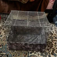 قفس پرنده و لانه عروس هلندی