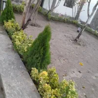 خدمات کلیه باغبانی باغچه کاری گلکاری کاشت گل وگیا|خدمات باغبانی و درختکاری|کرج, عظیمیه|دیوار