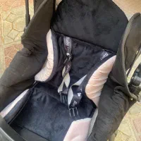 کالسکه دلیجان مدل بنیتا