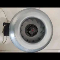 فن بین کانالی زیلابگ