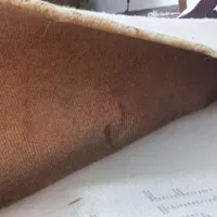 موکت