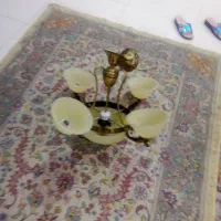 لوسترپنج شاخهدرحدنو