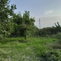 فروش ۲قطعه زمین ۲۵۰و۲۱۰متری چسبیده به بافت|فروش زمین و ملک کلنگی|نوکنده, |دیوار