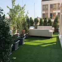 چمن مصنوعی|خدمات باغبانی و درختکاری|ورامین, ورامین|دیوار