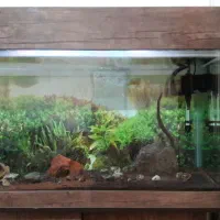 اکواریوم شیشه خم|ماهی|کرج, مصباح|دیوار