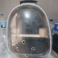 کیف حمل پرنده