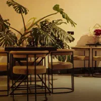 غذا خوری نهار خوری مدل پلانتر رستوران کافی شاپ|میز و صندلی غذاخوری|مشهد, رسالت|دیوار