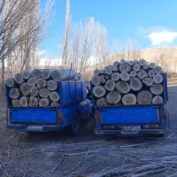 خرید چوب و درخت تر و خشک|خدمات باغبانی و درختکاری|کوثر, |دیوار