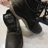 کفش ایمنی برند پادکس