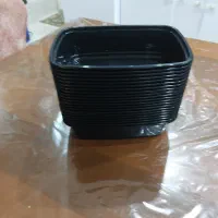 فروش ظرف یکبار مصرف