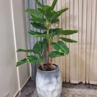 درختچه مصنوعی بالای 2متر